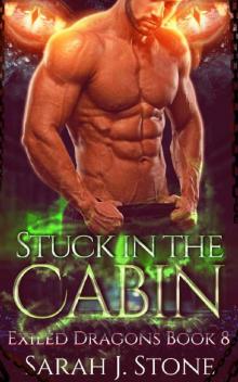 Stuck in the Cabin (Exiled Dragons Book 8)