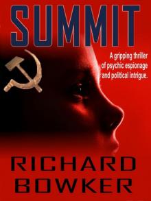 Summit Read online