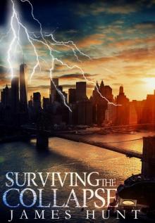 Surviving The Collapse Read online