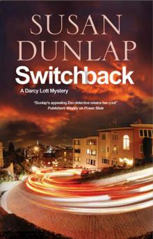 Switchback: A San Francisco Mystery (A Darcy Lott Mystery) Read online