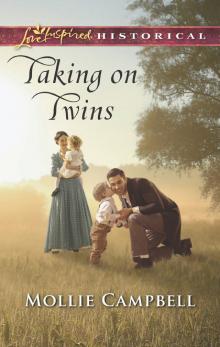 Taking on Twins Read online