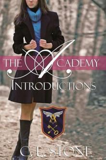 The Academy - Introductions (Year One, Book One) (The Academy Series) Read online