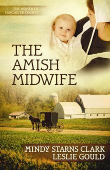 The Amish Midwife Read online