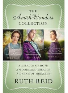 The Amish Wonders Collection Read online
