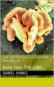 The Apprentice Starship Engineer: Book One The Link Read online