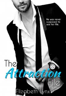 The Attraction File (Cake Love Book 2) Read online
