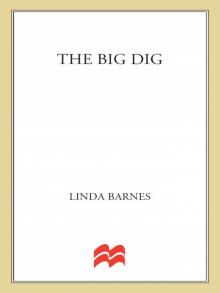 The Big Dig (Carlotta Carlyle Mysteries Book 9) Read online