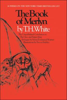 The Book of Merlyn Read online