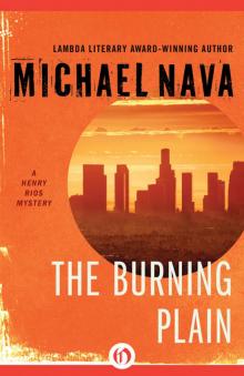 The Burning Plain Read online