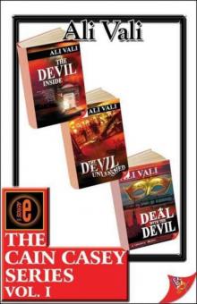 The Cain Casey Series Read online