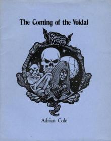 The Coming of the Voidal Read online