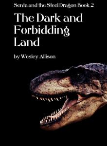 The Dark and Forbidding Land Read online