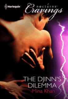 The Djinn's Dilemma Read online
