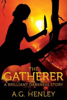 The Gatherer (Brilliant Darkness 2.5) Read online
