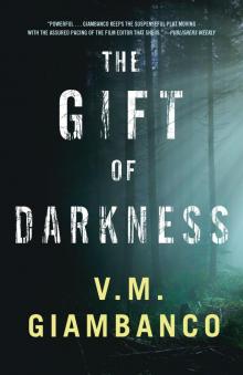 The Gift of the Darkness Read online