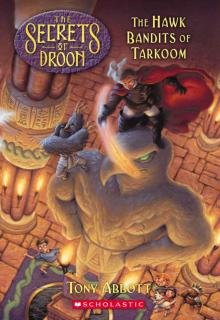 The Hawk Bandits of Tarkoom (The Secrets of Droon #11) Read online