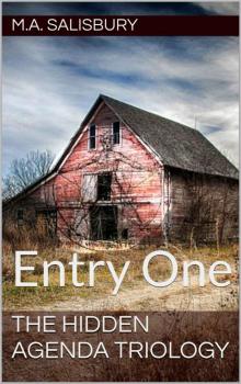 The Hidden Agenda Triology: Entry One (The Hidden Agenda Trilogy Book 1)