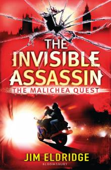 The Invisible Assassin Read online