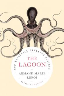 The Lagoon Read online