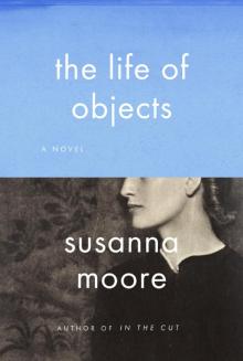 The Life of Objects Read online