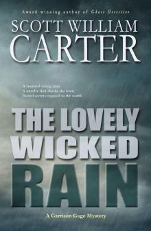 The Lovely Wicked Rain: An Oregon Coast Mystery (Garrison Gage Series)