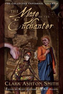 The Maze of the Enchanter Read online