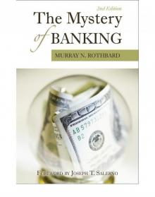 The Mystery Of Banking Read online