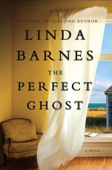 The Perfect Ghost Read online