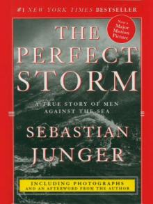 The Perfect Storm Read online
