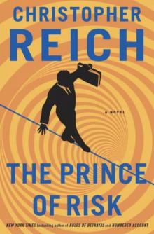 The Prince of Risk Read online
