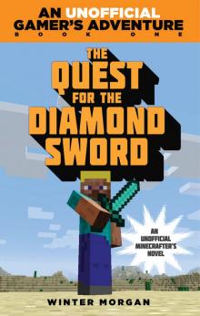 The Quest for the Diamond Sword Read online