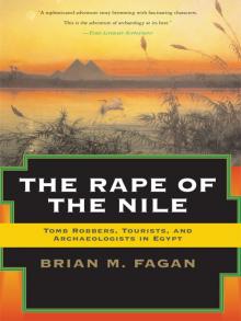 The Rape of the Nile Read online