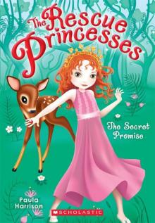 The Rescue Princesses #1: Secret Promise Read online