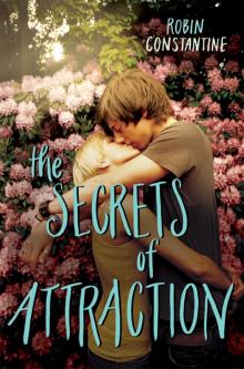 The Secrets of Attraction Read online