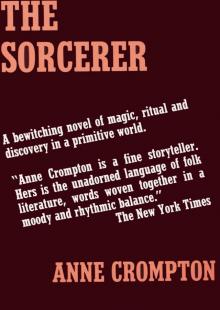 The Sorcerer Read online