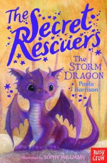 The Storm Dragon Read online