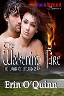 The Wakening Fire [The Dawn of Ireland 2] Read online