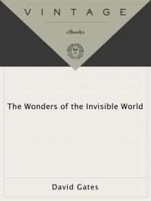 The Wonders of the Invisible World Read online