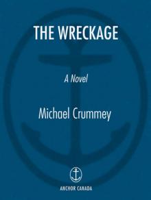 The Wreckage Read online