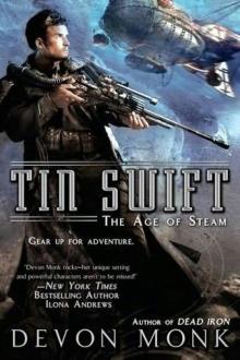 Tin Swift taos-2 Read online