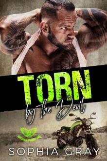 Torn by the Devil: A Motorcycle Club Romance (Broken Wings MC) (Satan's Outlaw Sins Book 3) Read online