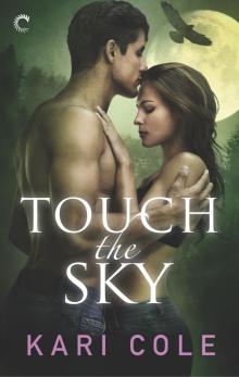 Touch the Sky Read online