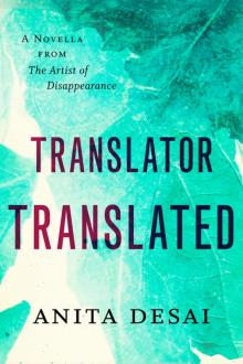 Translator Translated Read online