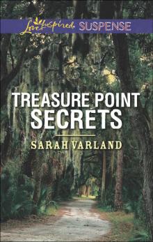 Treasure Point Secrets Read online