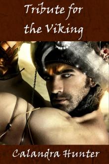 Tribute for the Viking (reluctant gay erotica) Read online