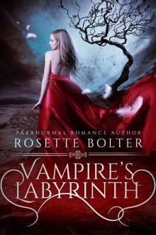 Vampire's Labyrinth (Vampire's Valentine Book Three) Read online