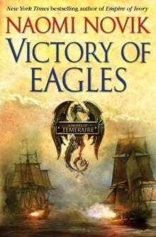 Victory of Eagles t-5 Read online