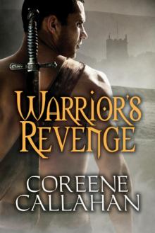Warrior's Revenge Read online