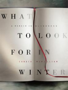 What to Look for in Winter Read online
