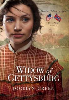 Widow of Gettysburg Read online